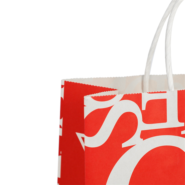 Custom Print Luxury Clothing Packaging Retail Gift Durable Brown Reusable Shopping Jewellery Paper Bag With Handle for Business